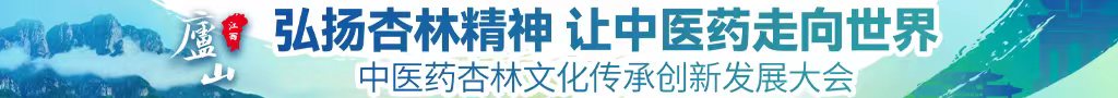 AV操逼网站中医药杏林文化传承创新发展大会